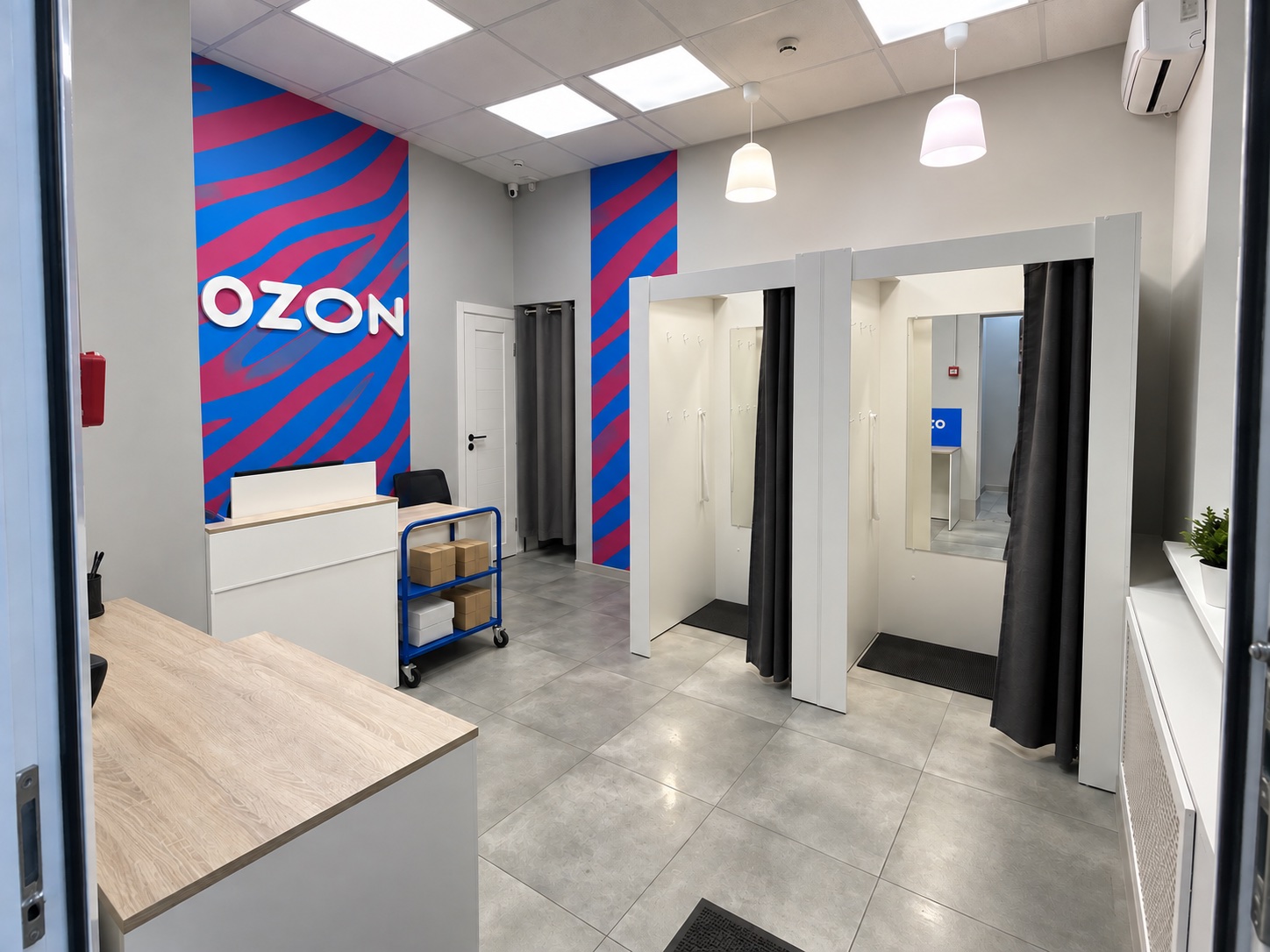 Готовый пункт выдачи заказов Ozon на улице Савушкина в Санкт-Петербурге